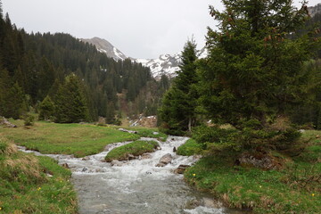 The Chésery pass is a small pass of France located in the Alps, in the Chablais massif, at 1,992...