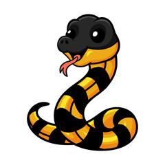 Fototapeta premium Cute banded krait bungarus candidus cartoon