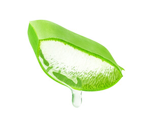 Aloe Vera leaf isolated on white or transparent background. Slice of Aloe Vera plant and drop of juice or gel