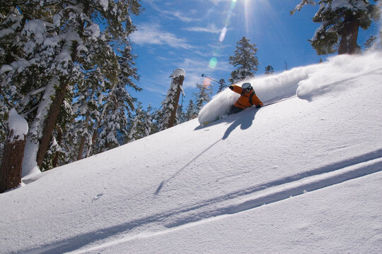 A man telemark skiing powder snow at Kirkwood ski resort in California