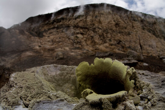 A tiny vent sends steam into the air deep inside the caldera of Alcedo Volcano in the Galapagos.