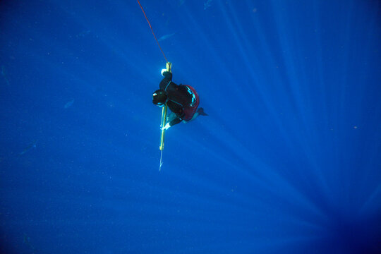 Man Spearfishes while freediving in the Gulf Stream off NC