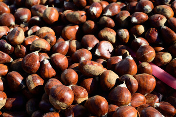 Roasting chestnuts on fire, Portuguese street food in autumn, Lisbon, Portugal