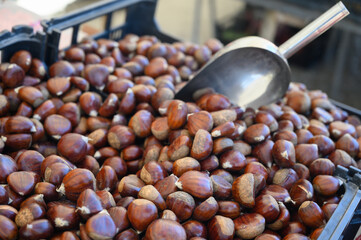 New harvest of brown chestnuts on market in Lisbon, Portugal