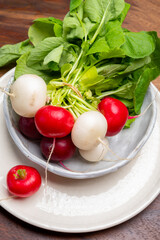 Fresh washed white and red radish vegetables ready to eat close up