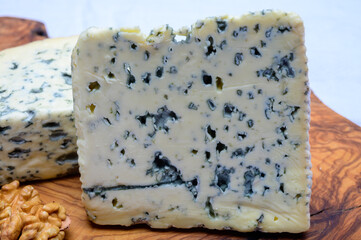 Cheese collection, piece of French blue cheese auvergne and fourme d'ambert