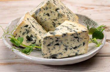 Cheese collection, piece of French blue cheese auvergne or fourme d'ambert