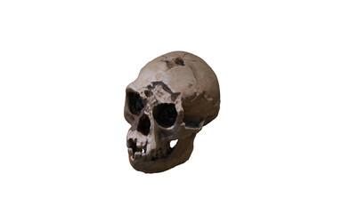 antique skull with wound on top of head 