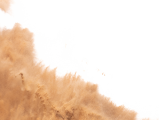 Blur Defocus image of Small Fine Sand flying explosion, Golden grain wave explode blow. Abstract sands cloud. Yellow colored sand splash up in Air. White background Isolated high speed shutter freeze