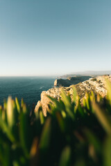 Coastline