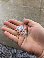 Mans right hand holding pea sized hail over hail covered ground