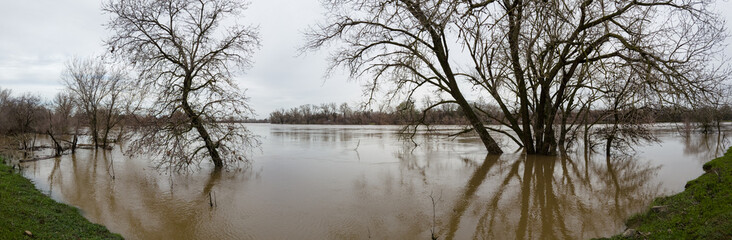 Panorama view of high water on the sacramento river after storm