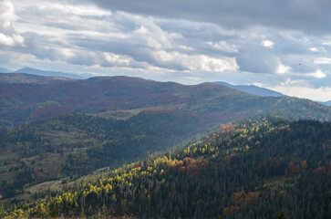 Autumn colorful trees growing on the hillsides of the Carpathian mountains illuminated by the sun through the clouds