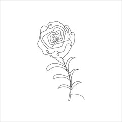 One line art rose flower on white