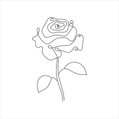 Rose flower one line art vector illustration in black and white