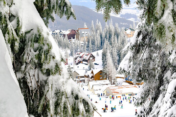 Wooden village rural houses,mansion,hotels among green pine spruce trees in snow,icicles in winter forest mountains,ski resort,nature. Calm countryside.Home residence in coniferous trees.Eco concept