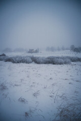 Foggy snow day in the Colorado Rocky Mountains - Ethereal and moody vibe