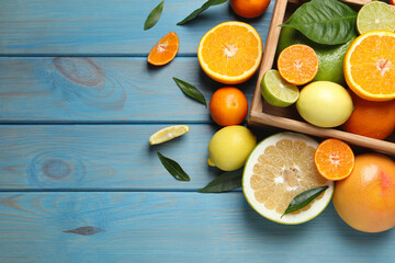 Different ripe citrus fruits with green leaves on light blue wooden table, flat lay. Space for text