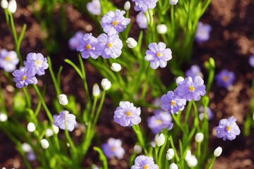 Spring Wildflowers Seamless Texture Pattern Tiled Repeatable Tessellation Background Image