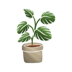 plant in a pot transparent background
