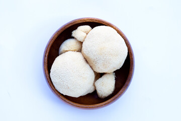 Fresh lion's mane mushroom on white background.