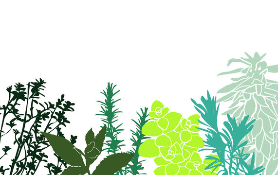 Garden herbs  background summer kitchen vegetable silhouette style deco kitchen eat well garden food vegetal natural element