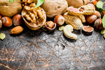 Nuts background. Different kind of nuts with green leaves.