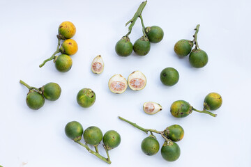 Betel nut or Areca nut on white background