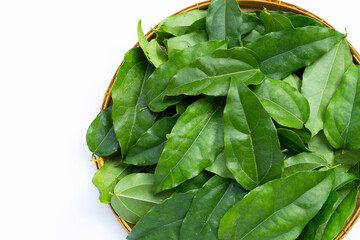 Fresh tiliacora triandra green leaves