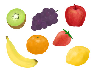 フルーツ リアル イラスト