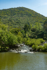 Fototapeta na wymiar Waterfalls, streams and green trees