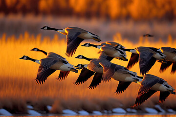 Canada geese begin their southward migration. Generative AI