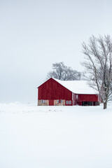 Wisconsin red barn and trees covered in a December snow
