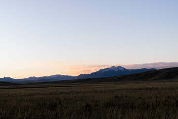 landscape in the road