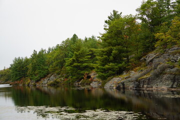 River in the Forest, Muskokas, Ontario, Landscape