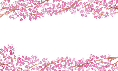 Fototapeta premium 水彩画。水彩タッチの桜背景。春の桜ベクターイラスト。枝付き桜の花びらの和風フレーム背景。 Watercolor painting. Cherry blossom background with watercolor touch. Spring cherry blossom vector illustration. Japanese style frame background of cherry 