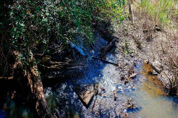 Water stream in the natural forest.