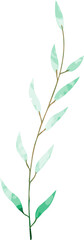 Watercolor botanical leaf branch