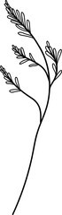 Botanical leaf branch line art