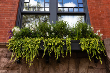 Beautiful Window Sill Flower Box with Green Plants and Flowers on an Old Brick Home on the Upper East Side of New York City