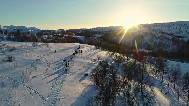Aerial top down shot of husky sled dogs puling sleigh during snowy winter day at sunset time in Norway