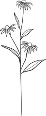 Naklejka premium Botanical floral leaf branch line art