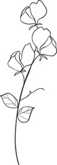 Botanical floral leaf branch line art