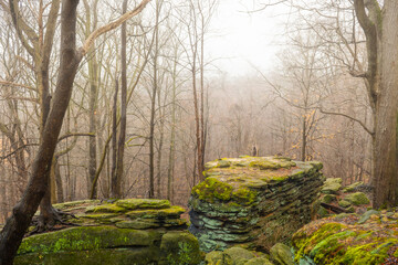 Foggy woodland from atop stone cliff ledges.