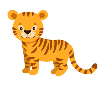 Cute tiger in cartoon style. Drawing african baby wild cat isolated on white background. Vector sweet tiger for kids poster and card. Jungle animal