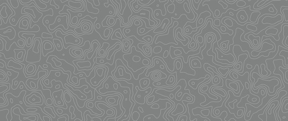 Abstract line art background vector. Mountain topographic terrain map background with abstract shape lines texture. Design illustration for wall art, fabric, packaging, web, banner, app, wallpaper. © TWINS DESIGN STUDIO