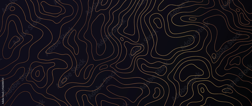 Wall mural luxury gold abstract line art background vector. mountain topographic terrain map background with go