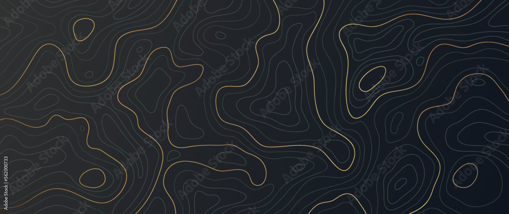 Wall mural luxury gold abstract line art background vector. mountain topographic terrain map background with go
