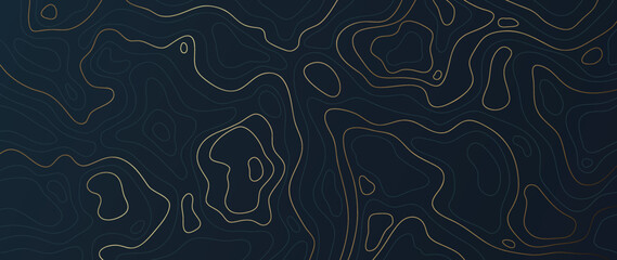 Luxury gold abstract line art background vector. Mountain topographic terrain map background with gold lines texture. Design illustration for wall art, fabric, packaging, web, banner, app, wallpaper.