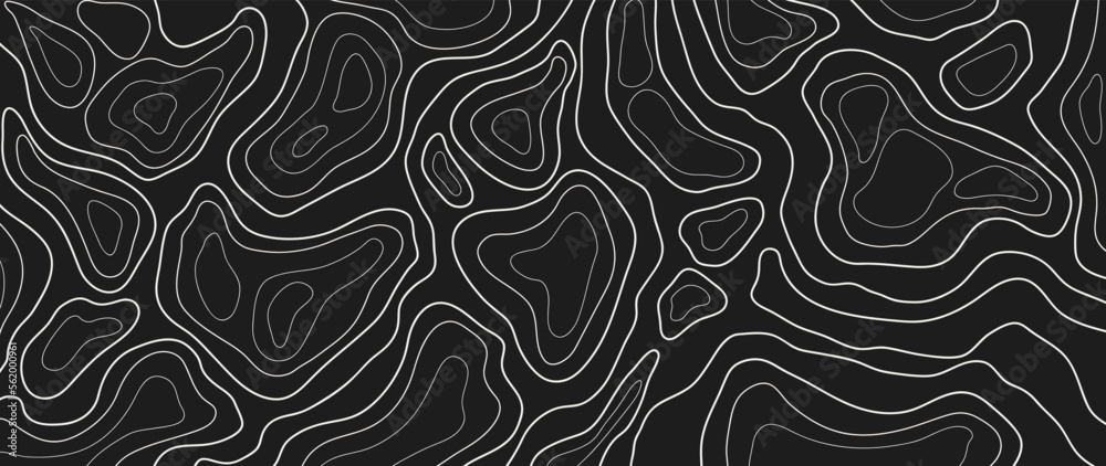 Wall mural abstract line art background vector. mountain topographic terrain map background with white shape li